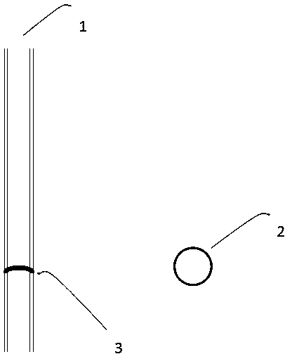 Administration method and administration device for experimental animal brain