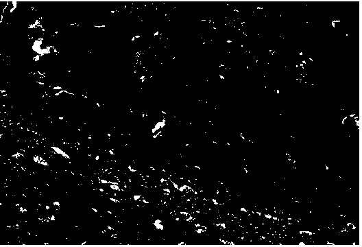 Administration method and administration device for experimental animal brain