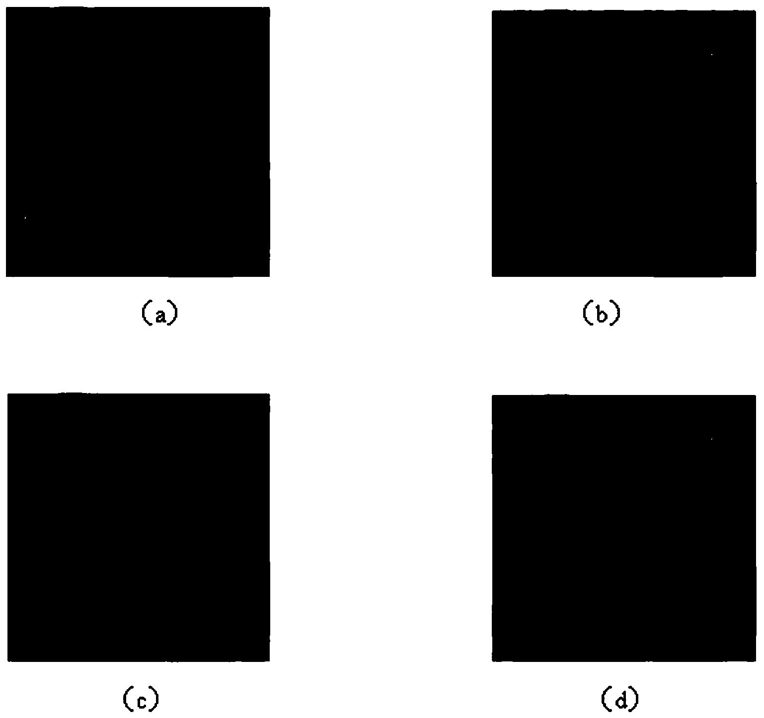 Image segmentation method based on weight variation expectation maximization criterion