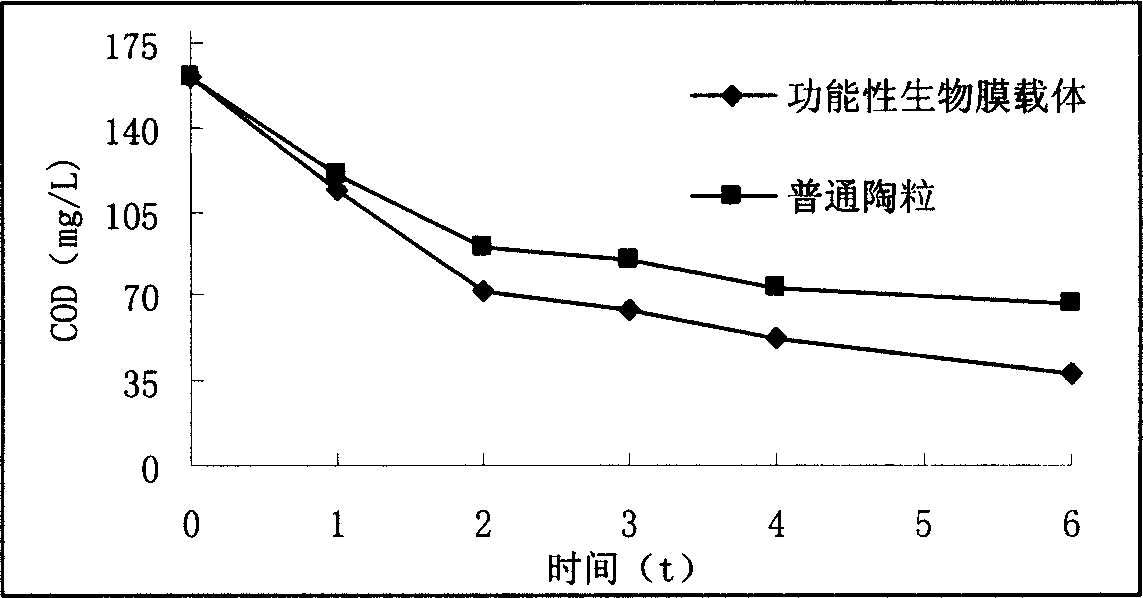 Functional biomembrane carrier, its preparation method and use