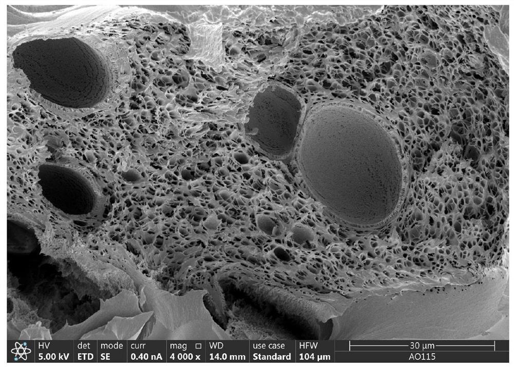 High-molecular polymer foaming material as well as preparation method and application thereof