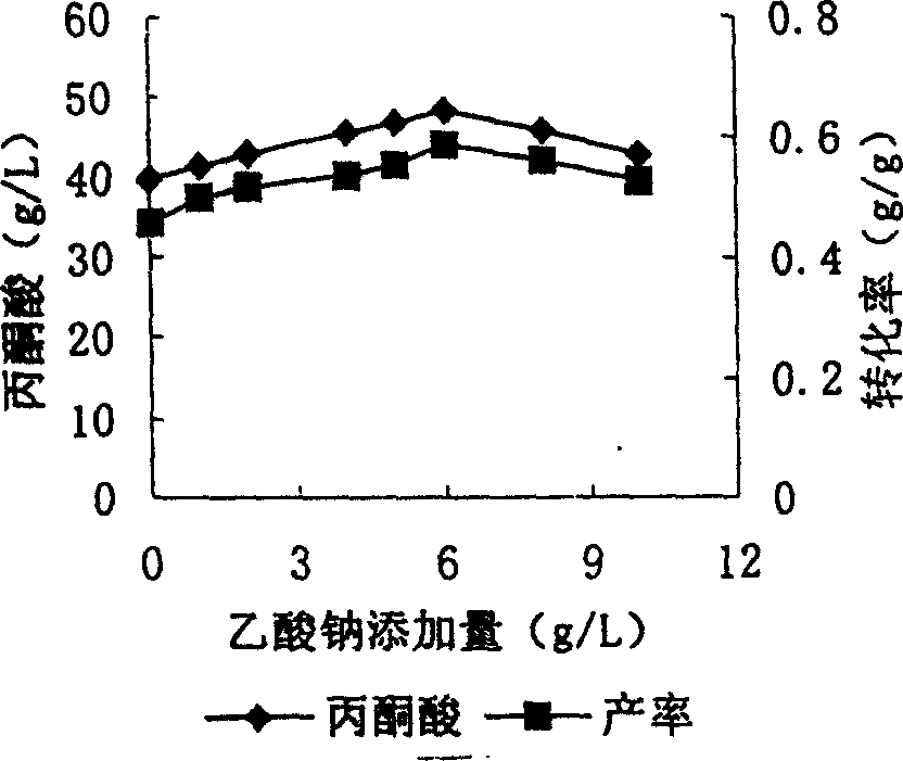 Acetic acid leakage type high-yield pyruvate bacterium and its breeding method and producing pyruvic acid by said bacterium via fermentation process