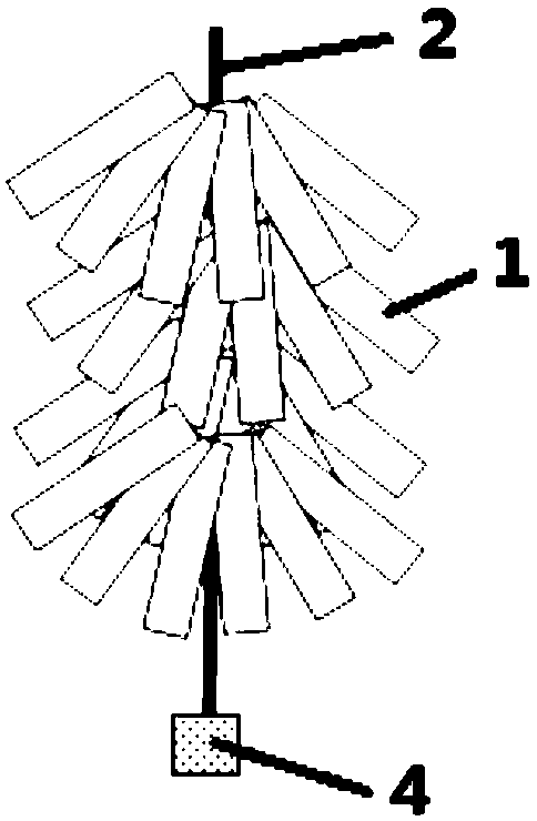 Indoor fry breeding method of hapalogenys nitens