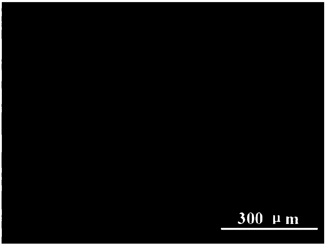 Near-infrared light response type self-repair coating and preparation method thereof