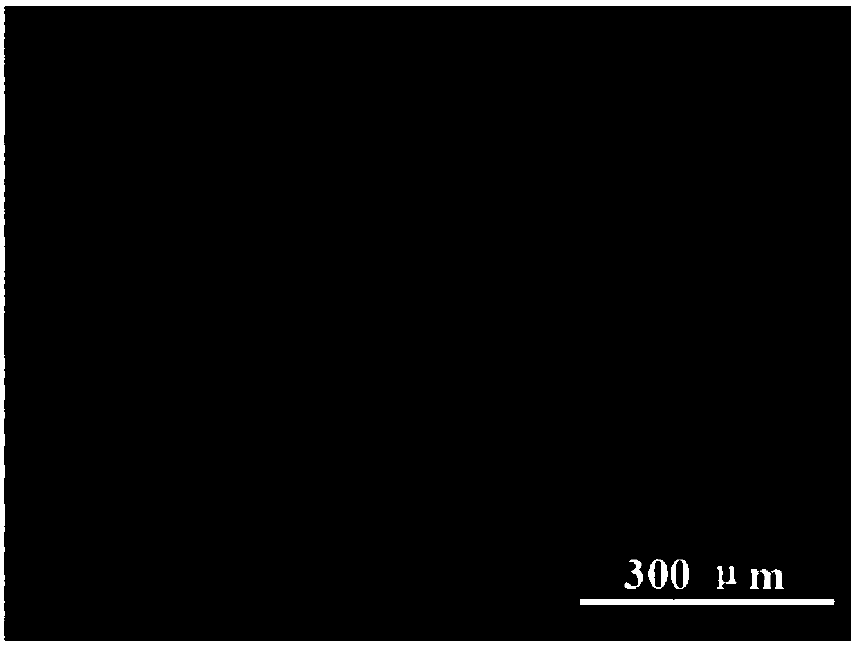 Near-infrared light response type self-repair coating and preparation method thereof