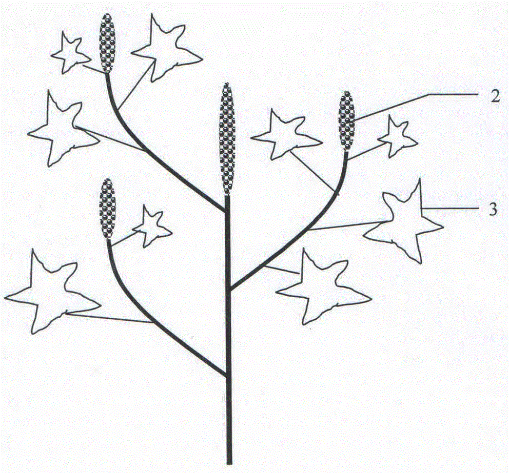 Method for rapidly testing tissue juice to judge nitrogen nutrition of ricinus communis