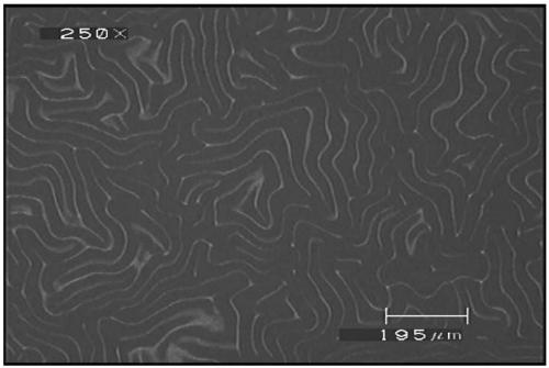 Preparation method of ultraviolet light induced surface self-folding pattern and application of pattern in constructing anti-counterfeiting marks