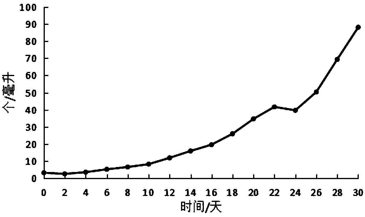 Culture medium applied to in-vitro culture of balantidium ctenopharyngodoni, preparation method of culture medium and in-vitro culture method of balantidium ctenopharyngodoni