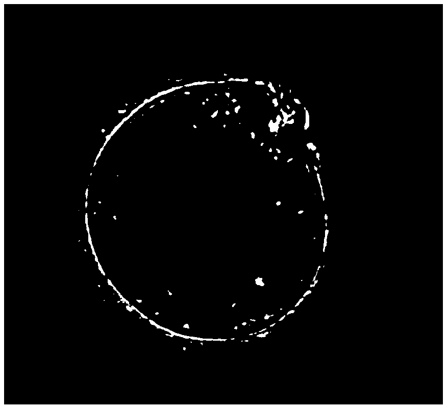 Culture medium applied to in-vitro culture of balantidium ctenopharyngodoni, preparation method of culture medium and in-vitro culture method of balantidium ctenopharyngodoni