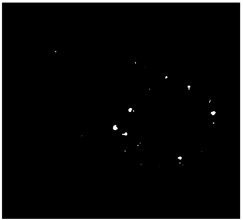 Culture medium applied to in-vitro culture of balantidium ctenopharyngodoni, preparation method of culture medium and in-vitro culture method of balantidium ctenopharyngodoni