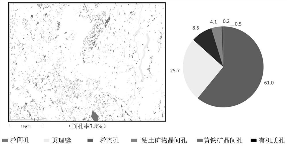 Formation and enrichment evaluation method for continental facies mud shale oil in large freshwater lake basin