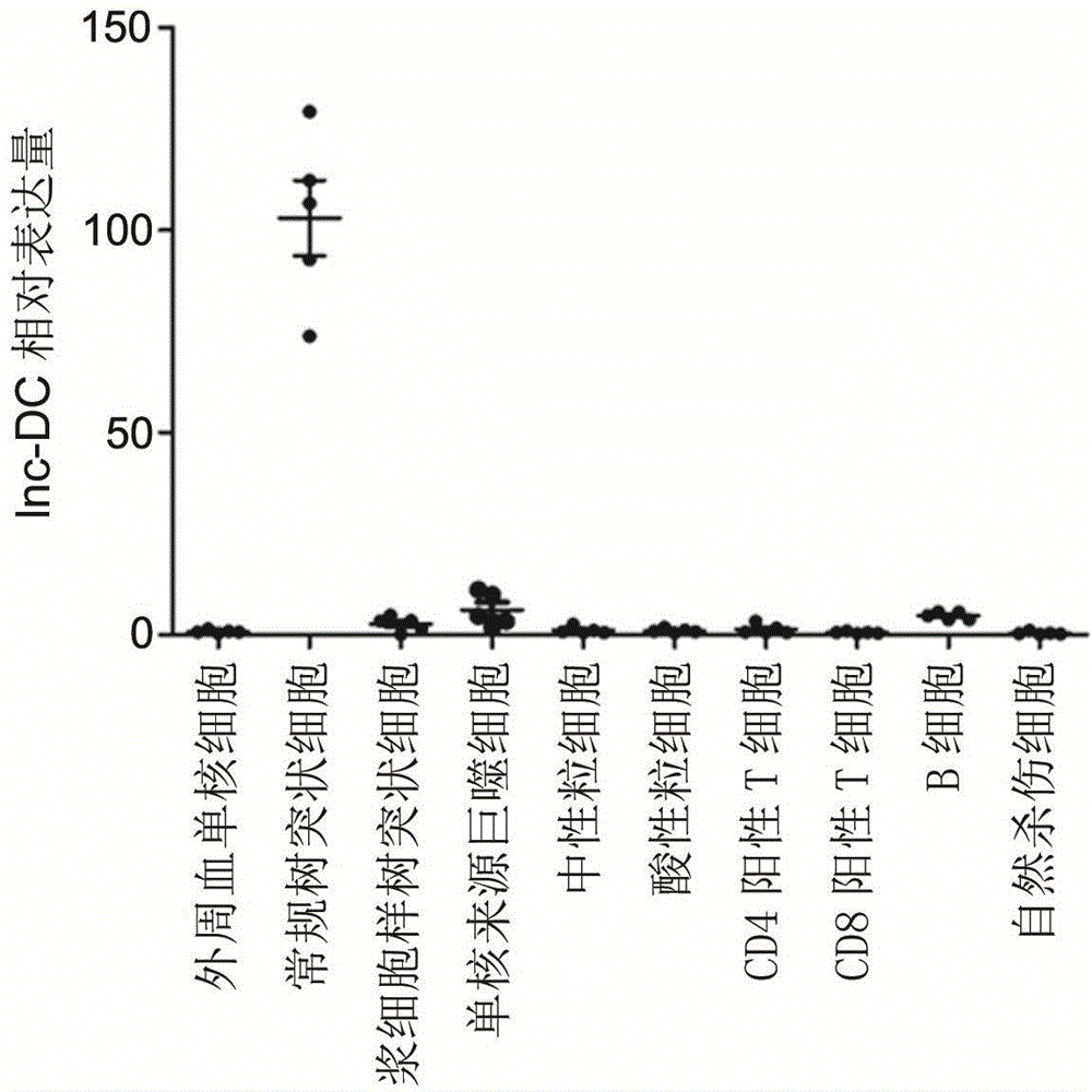 Specific biomarker for human dendritic cells maturity and functions