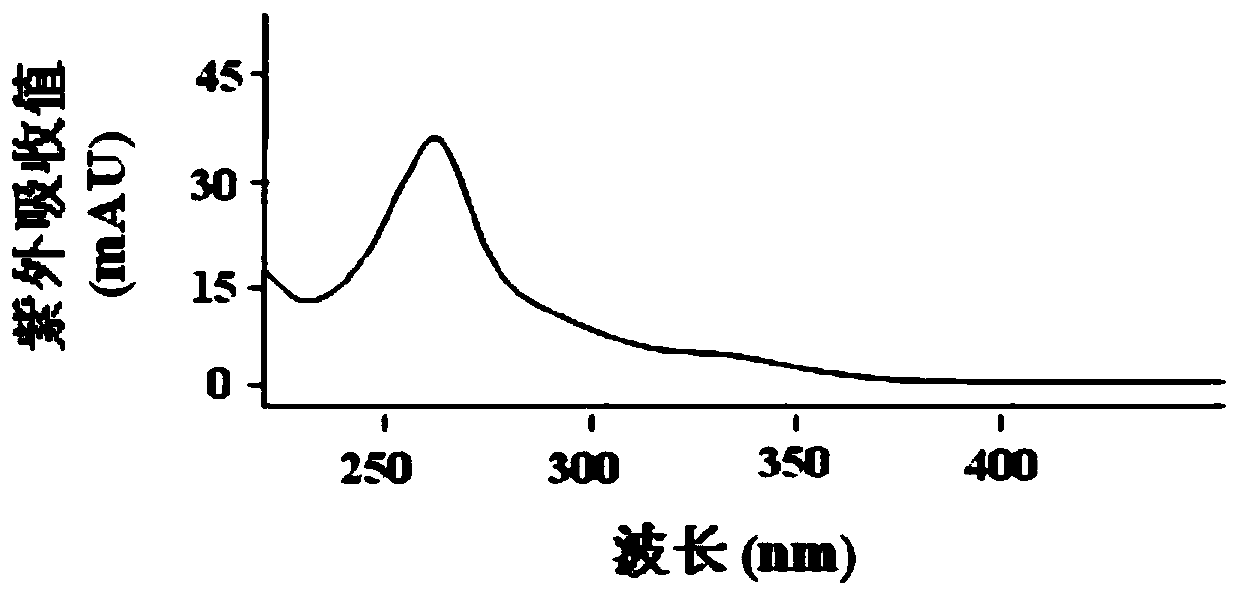 Lactobacillus acidophilus, method for fermenting soybean milk by using lactobacillus acidophilus, prepared fermented soybean milk and application thereof