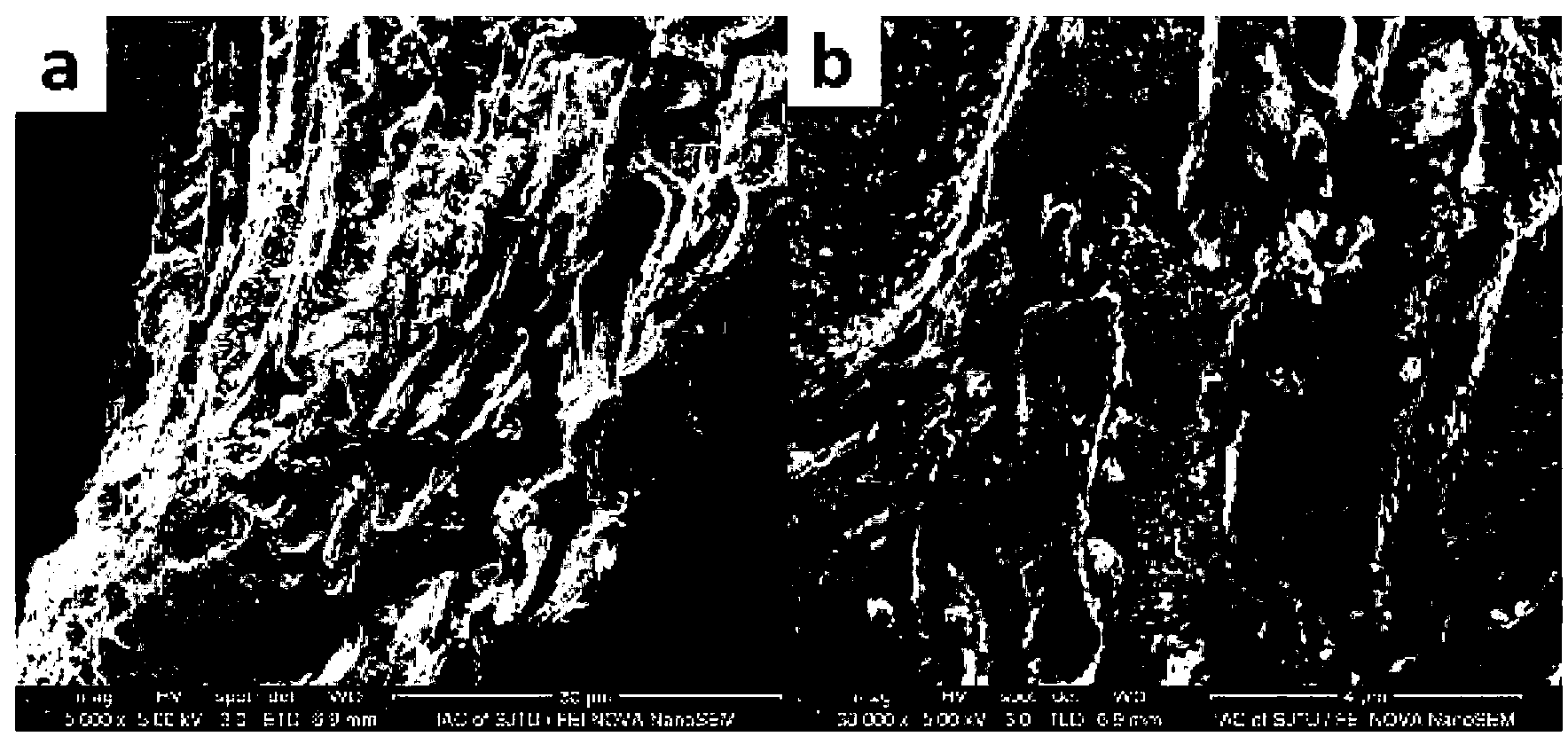 Method for preparing modified activated carbon at normal pressure