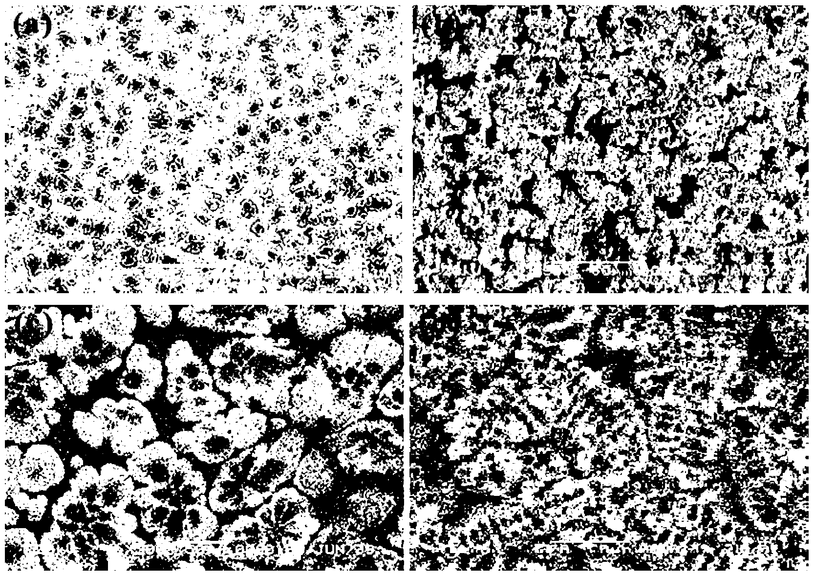 AlFeCoNiCrTiVx high-entropy alloy material and preparation method thereof