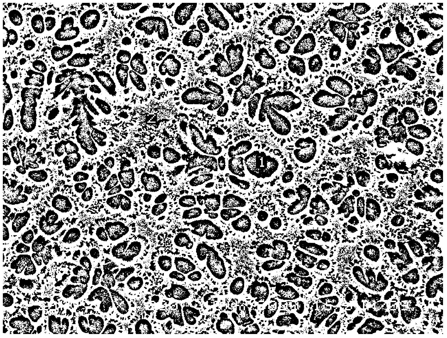 AlFeCoNiCrTiVx high-entropy alloy material and preparation method thereof