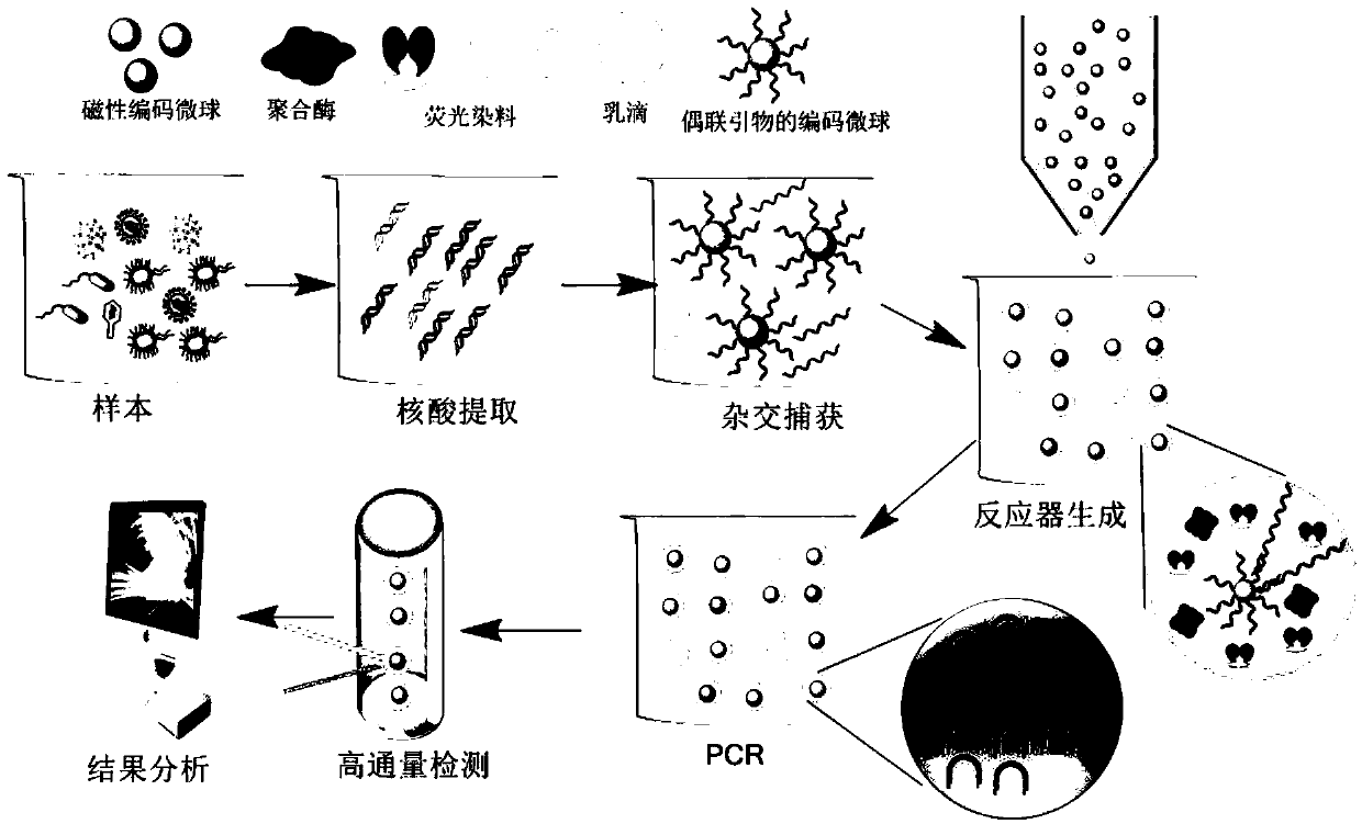 Droplet for multiple polymerase chain reaction (PCR) detection