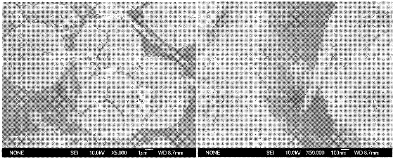 Noble metal orientation load titanium dioxide photocatalyst and preparation method thereof