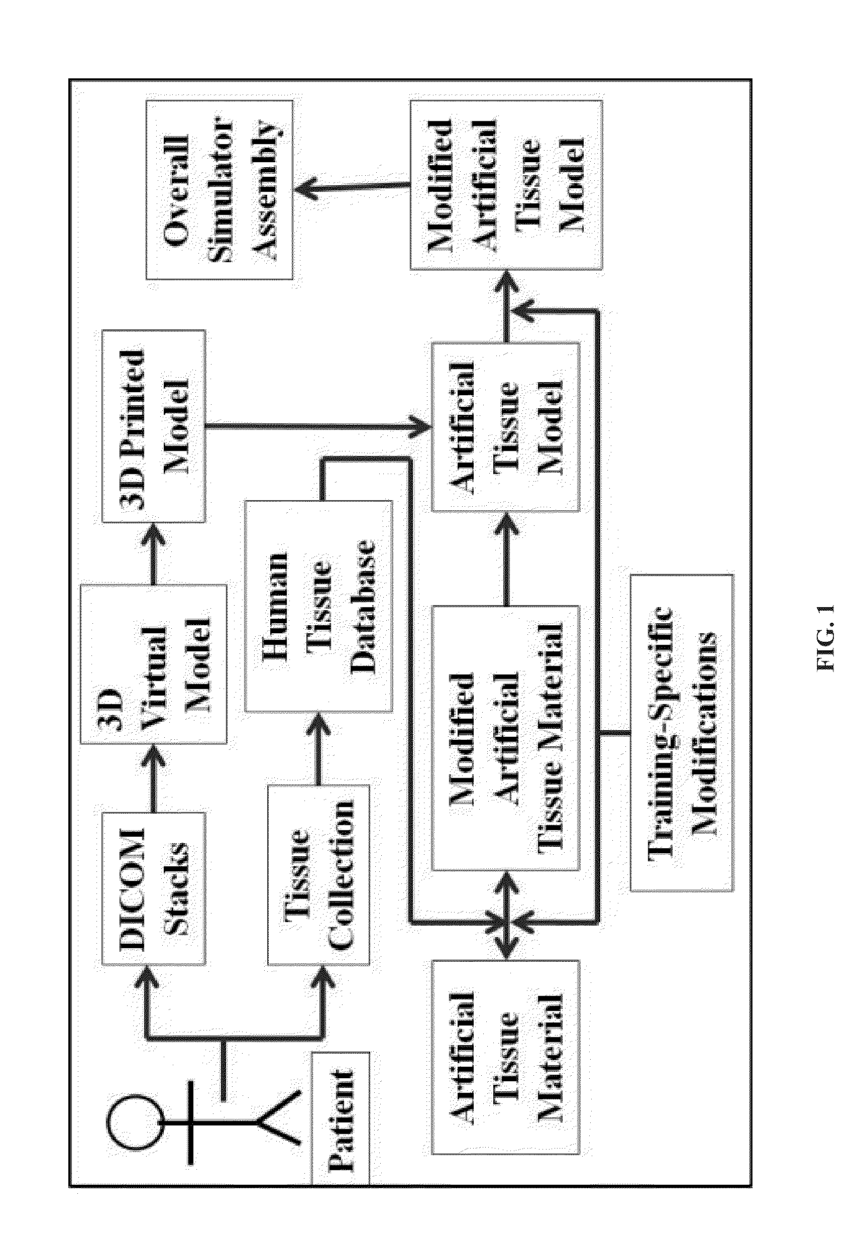 Simulated, representative high-fidelity organosilicate tissue models