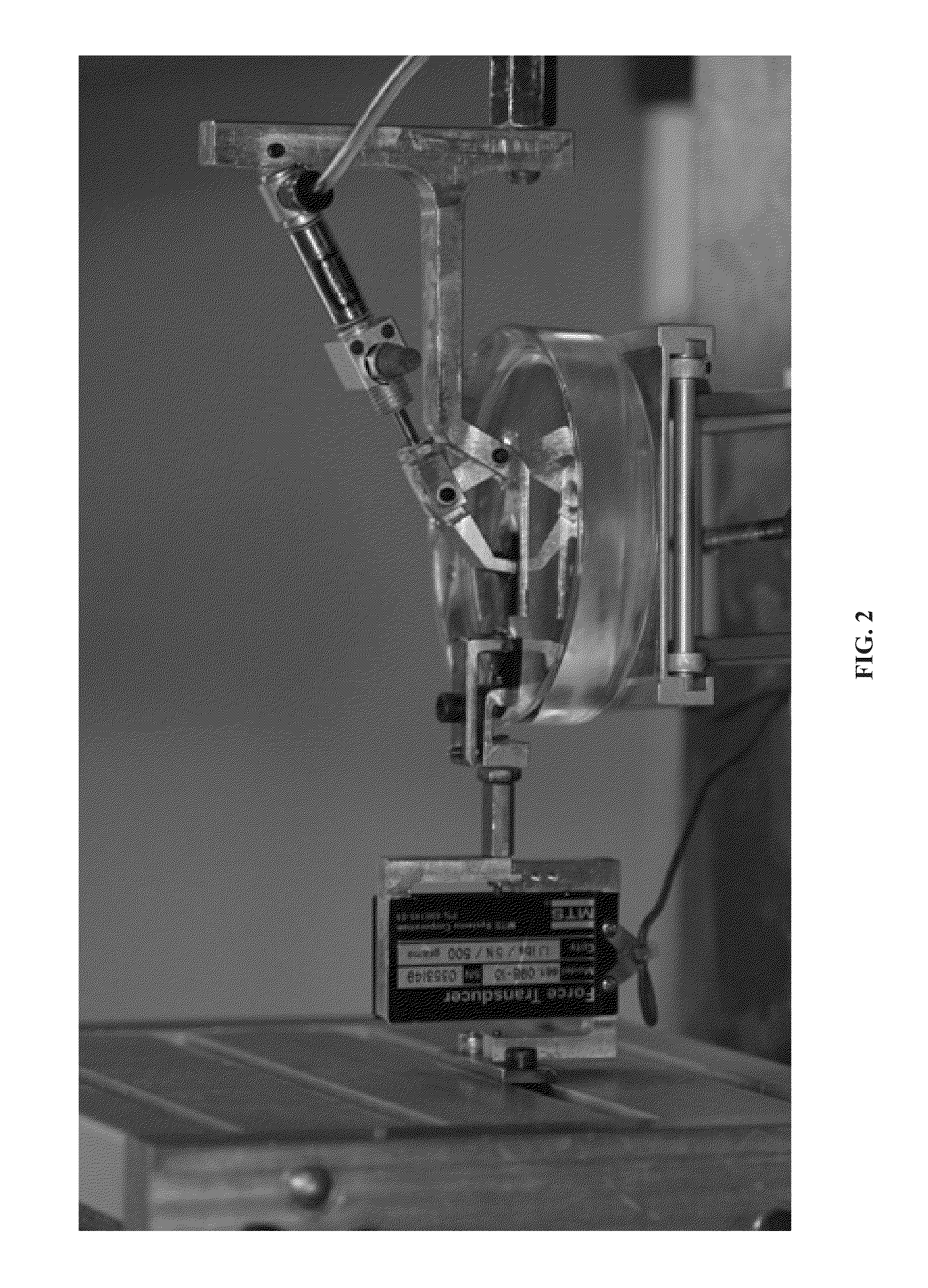 Simulated, representative high-fidelity organosilicate tissue models