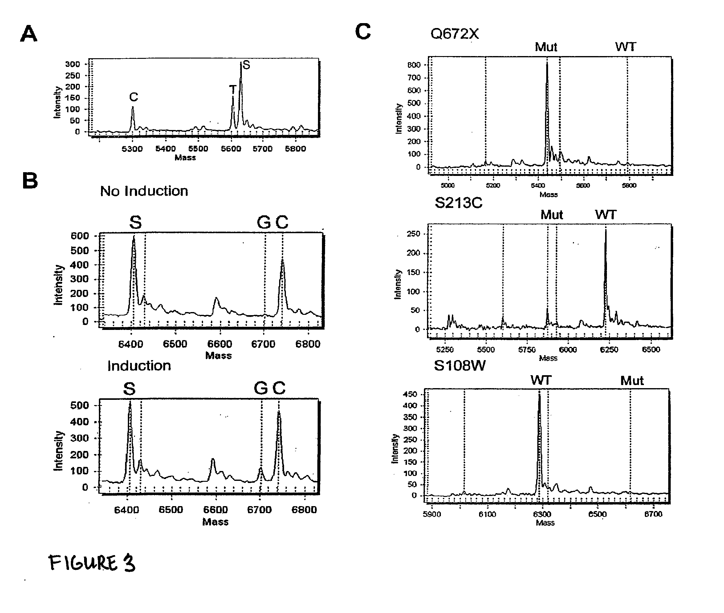 Method for detecting and quantifying rare mutations/polymorphisms