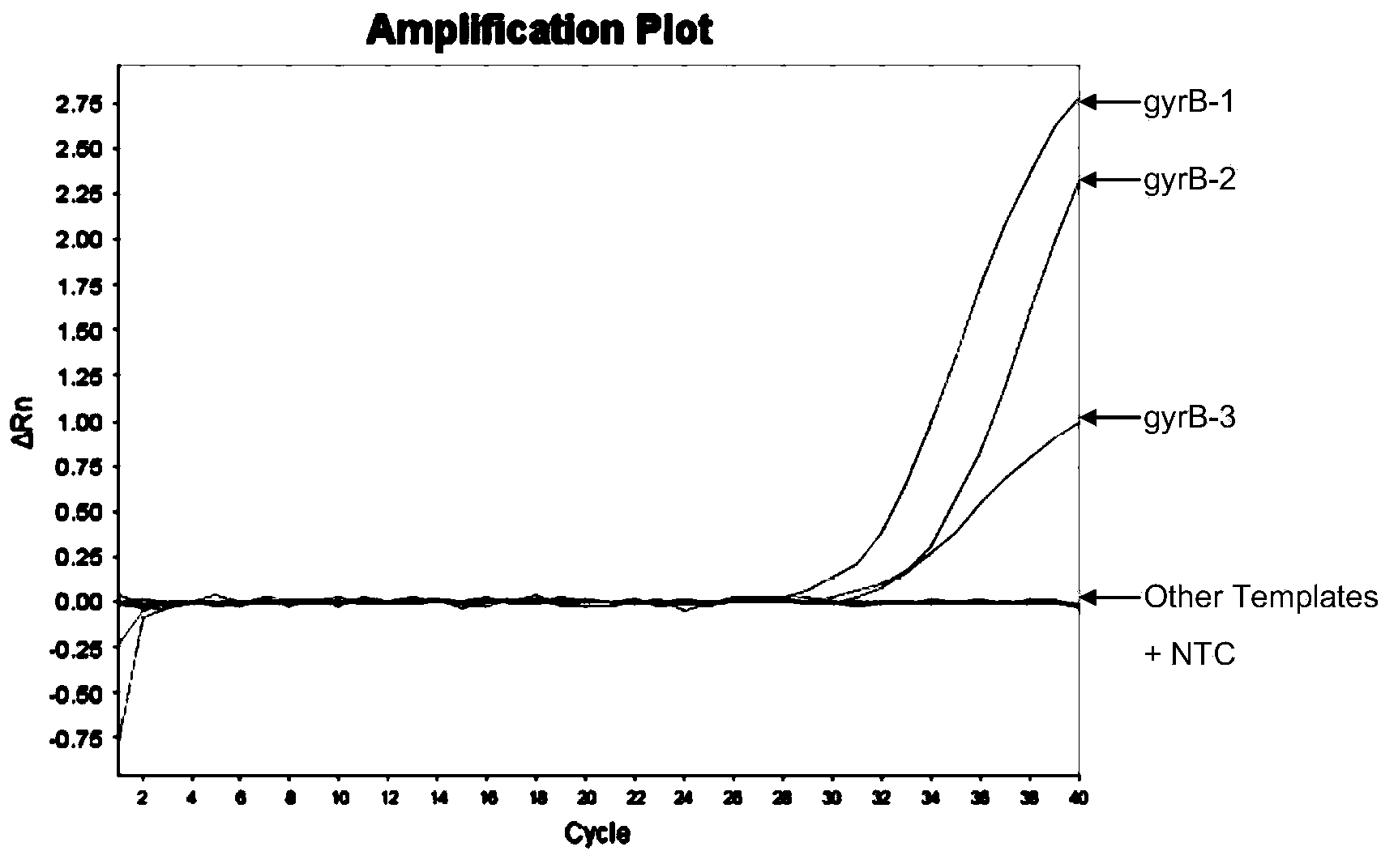 Primers, probes, method and kit for detecting vomit-type Bacillus cereus