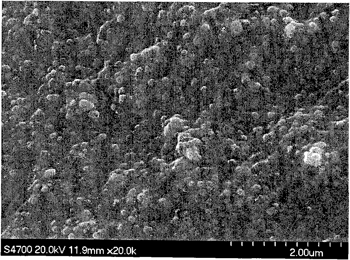 Triphase-body nanometer composite material with high dielectric constant and high elasticity and preparation method thereof