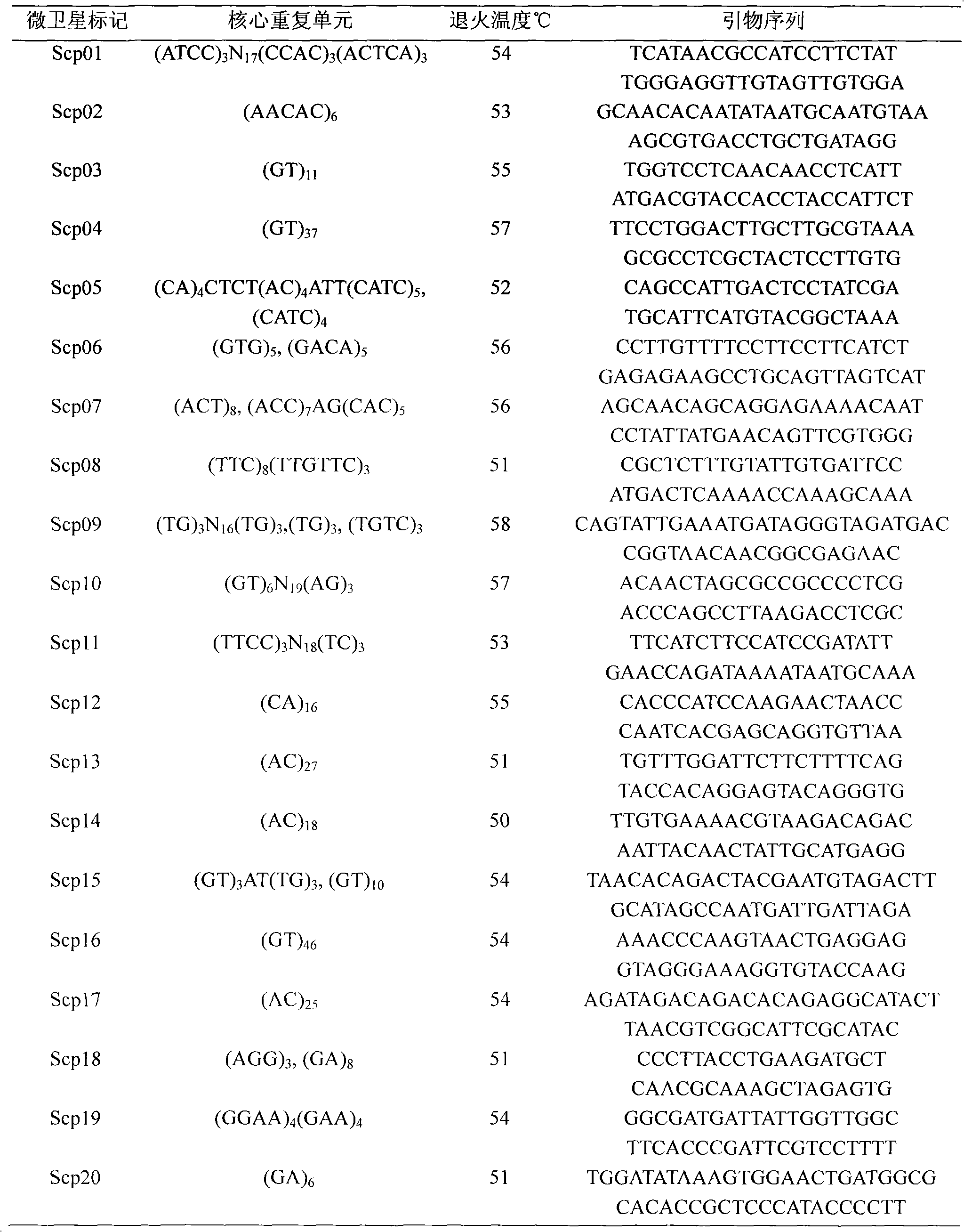 Method for establishing microsatellite molecular marker of scylla paramamosain