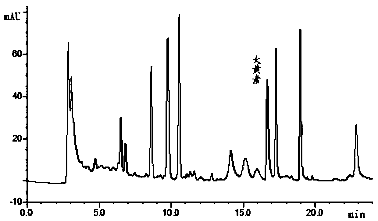 Method for culturing rumex dentatus in sea water