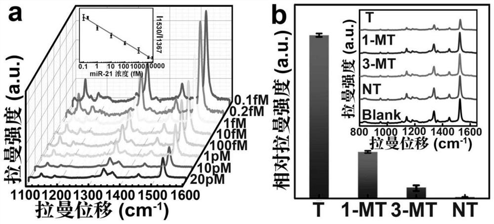 Nano-probe for diagnosis and treatment based on copper phthalocyanine molecule and its preparation and application