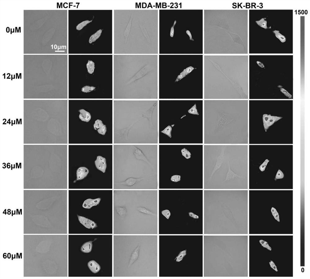 Nano-probe for diagnosis and treatment based on copper phthalocyanine molecule and its preparation and application