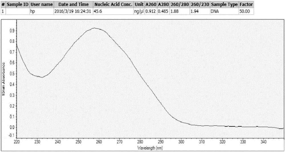 Method for economically and rapidly extracting microbial genome DNA in fermented grains