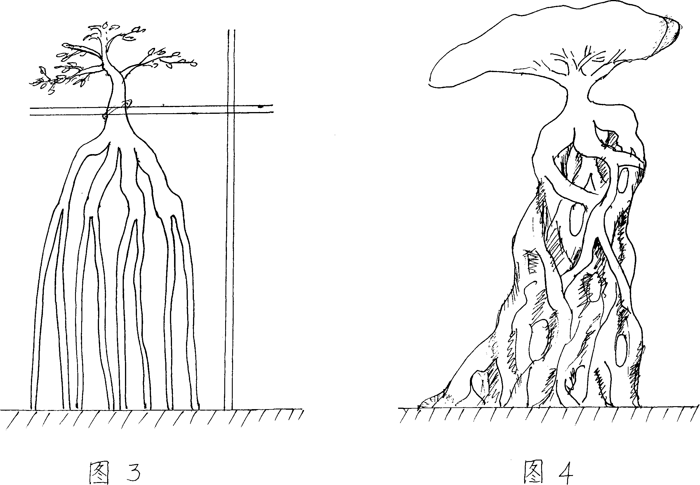 Method of fast cultivating of large-scale root-viewing type garden landscape trees by replacing trunk by root system