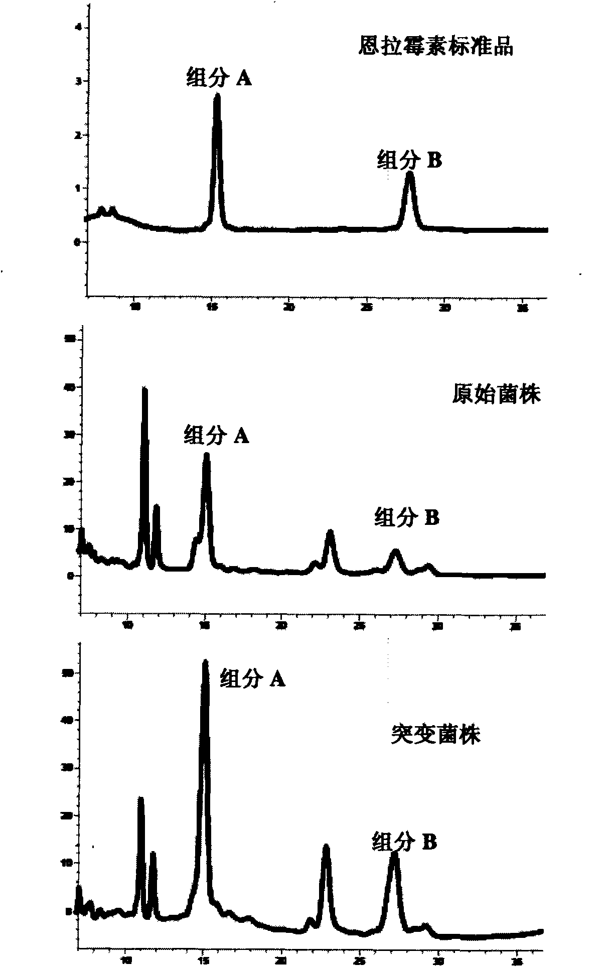 New enramycin-producing strain and high-yielding mutant strain thereof