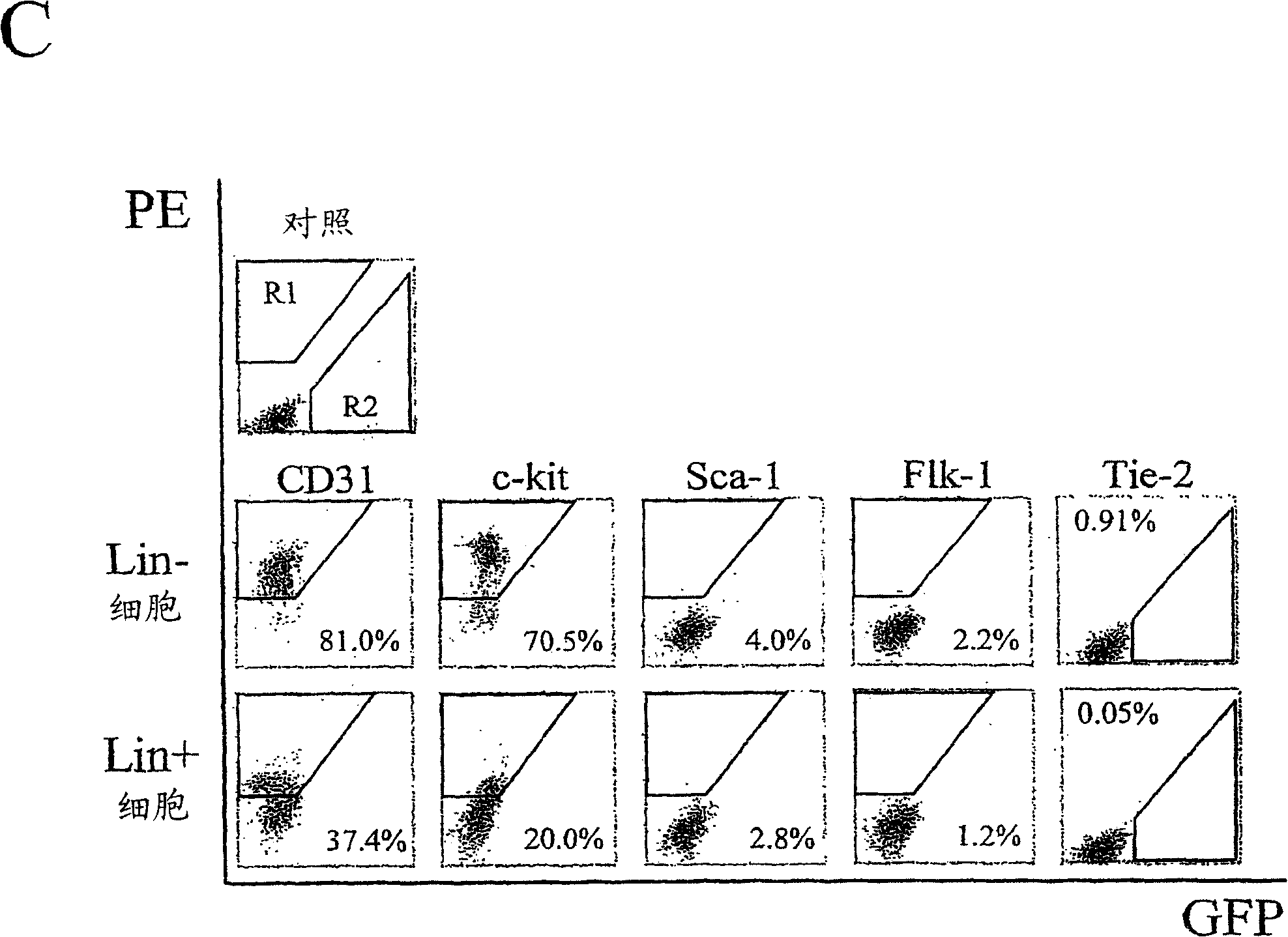 Hematopoietic stem cells and methods of treatment of neovascular eye diseases therewith