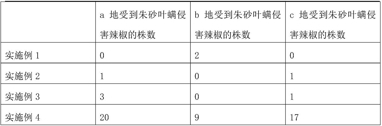 Insect resistance planting method for chili