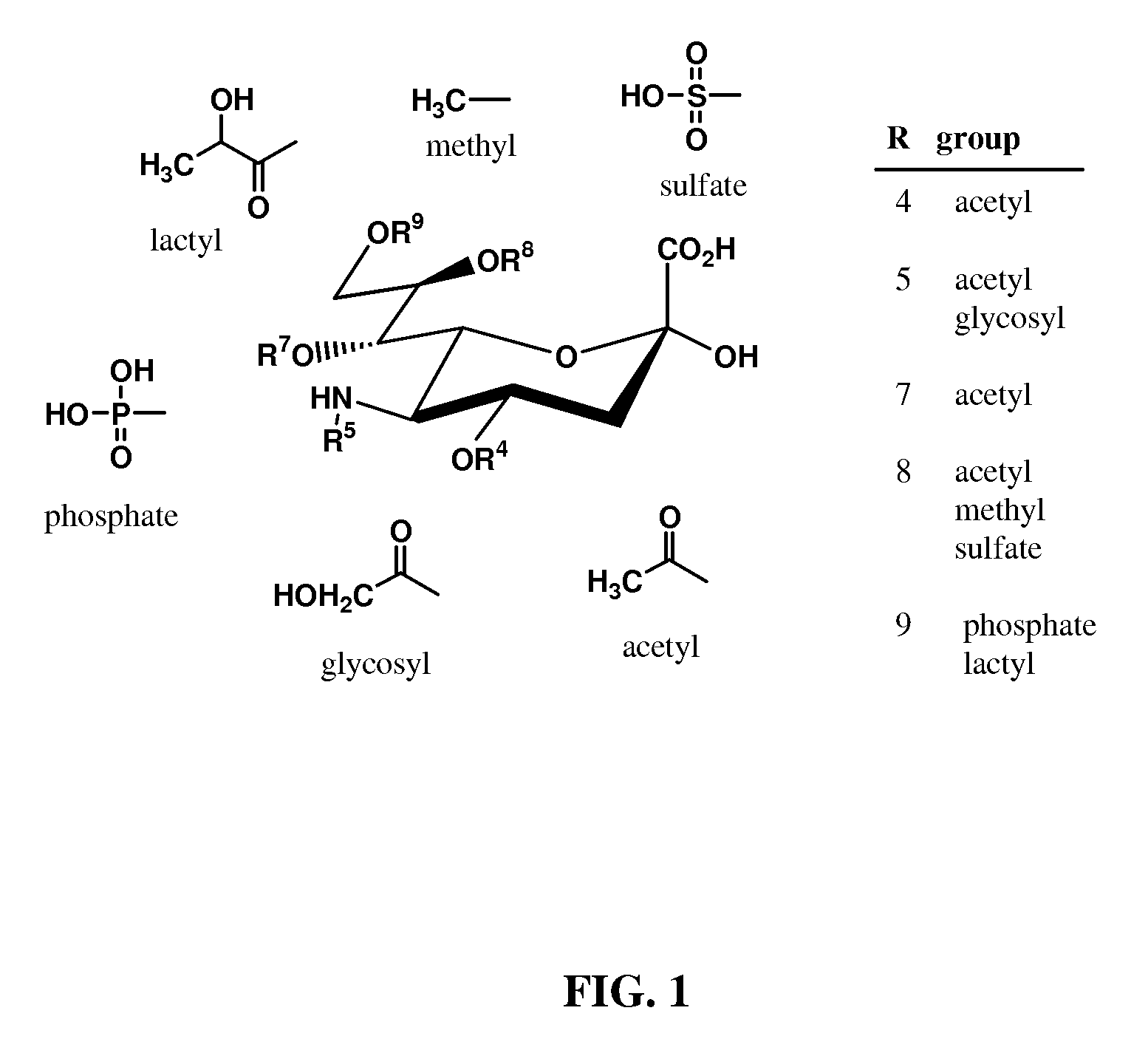 Metabolically Engineered Escherichia Coli For Enhanced Production of Sialic Acid