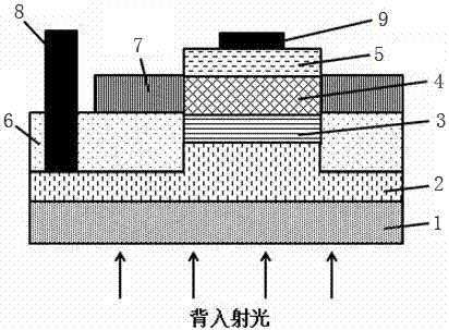 Back illuminated cascade multiplication avalanche photodiode