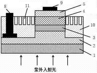 Back illuminated cascade multiplication avalanche photodiode