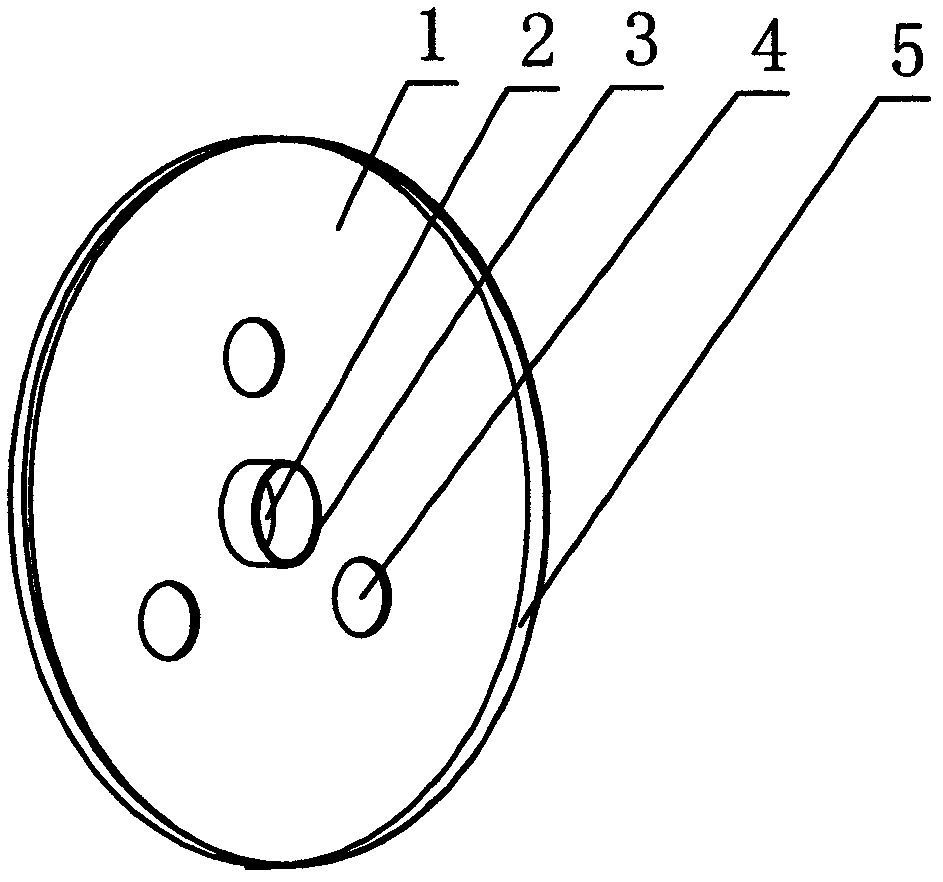 Multifunctional support in gas discharge lamp