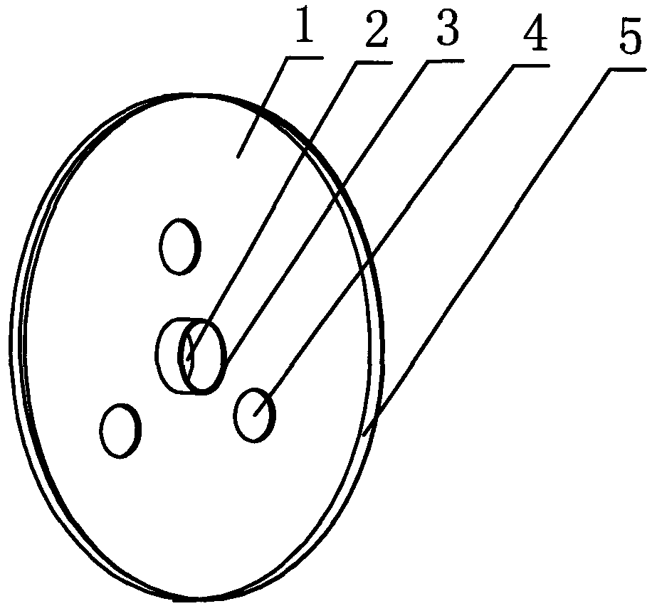 Multifunctional support in gas discharge lamp