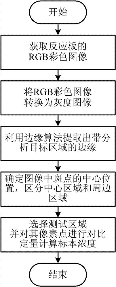 Colloidal gold detecting method and device based on digital image processing