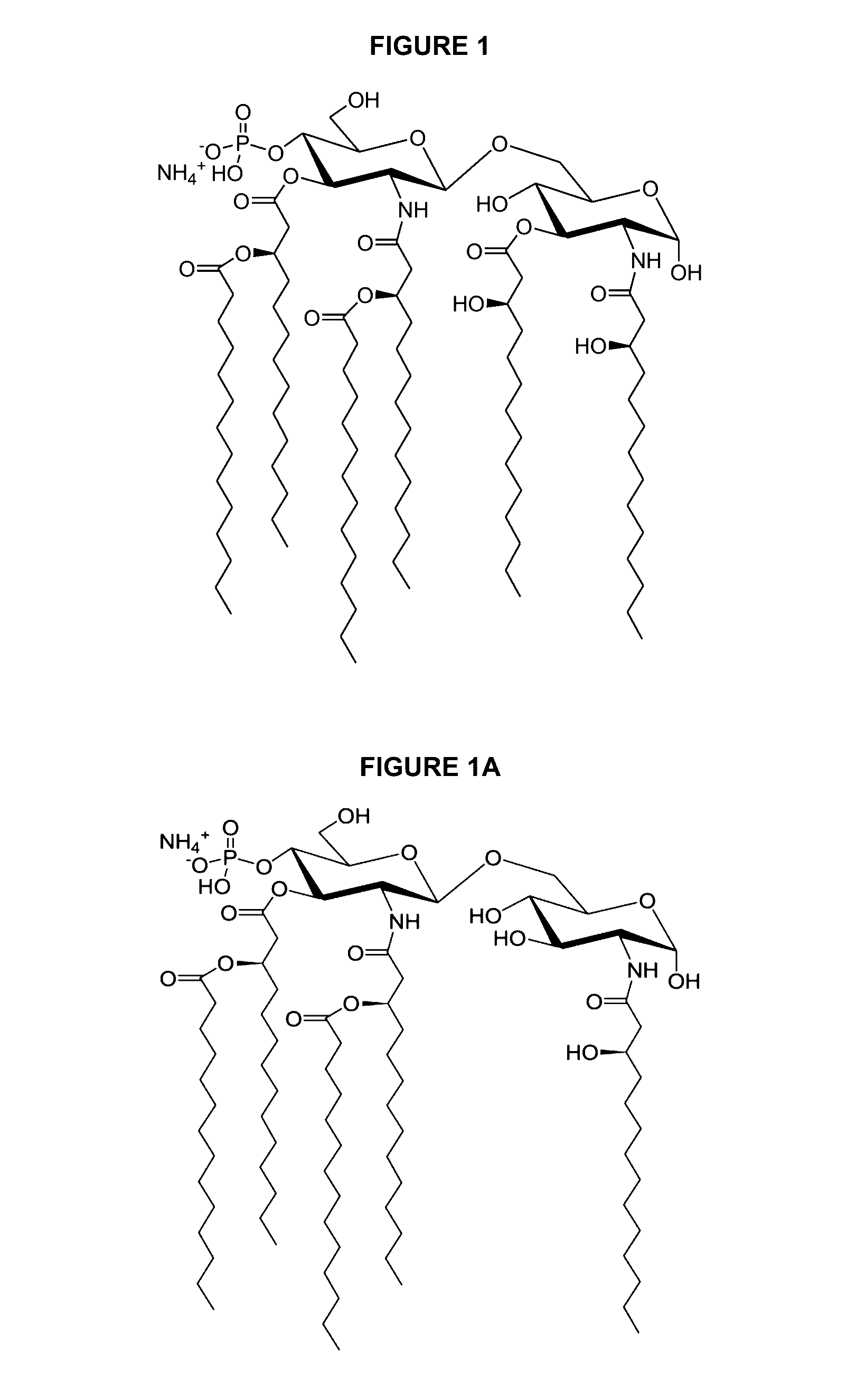 Compositions of vaccines and adjuvants and methods for the treatment of urinary tract infections