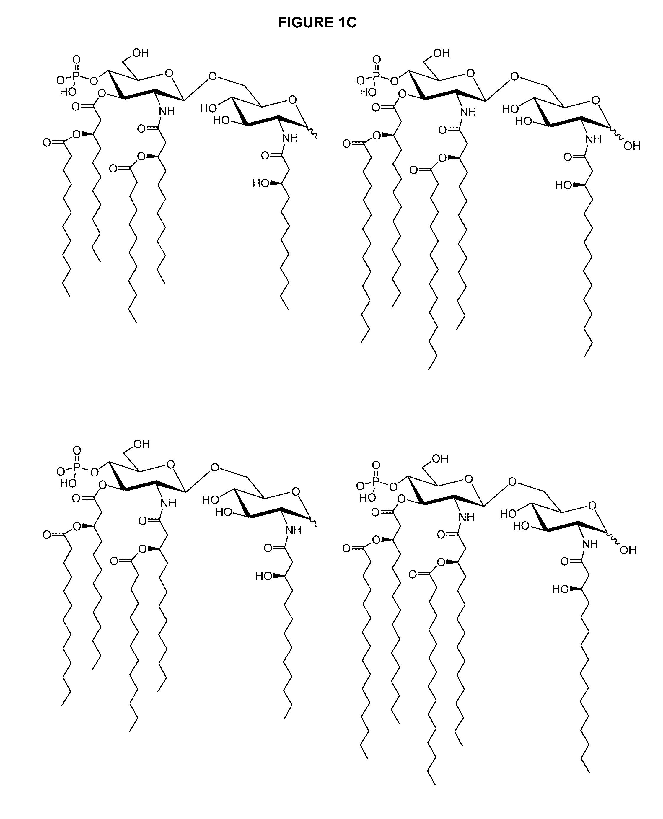 Compositions of vaccines and adjuvants and methods for the treatment of urinary tract infections