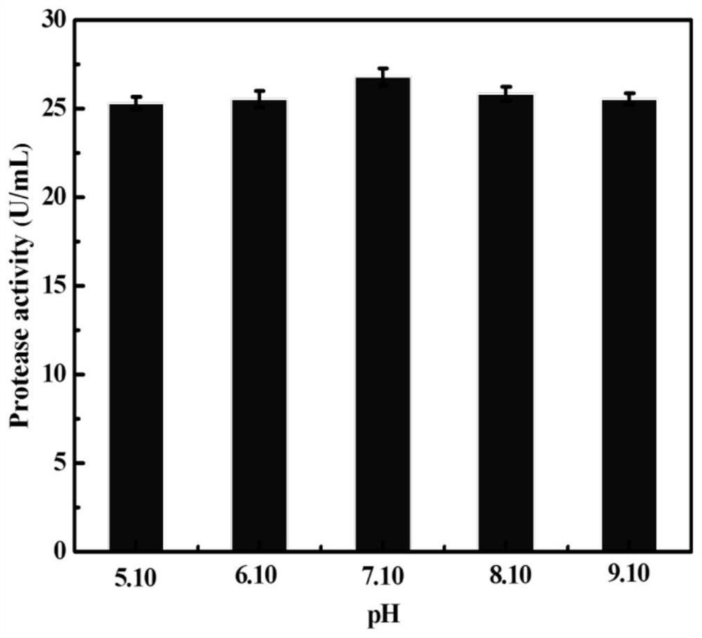 A protease-producing polylactic acid-degrading bacterium and its application