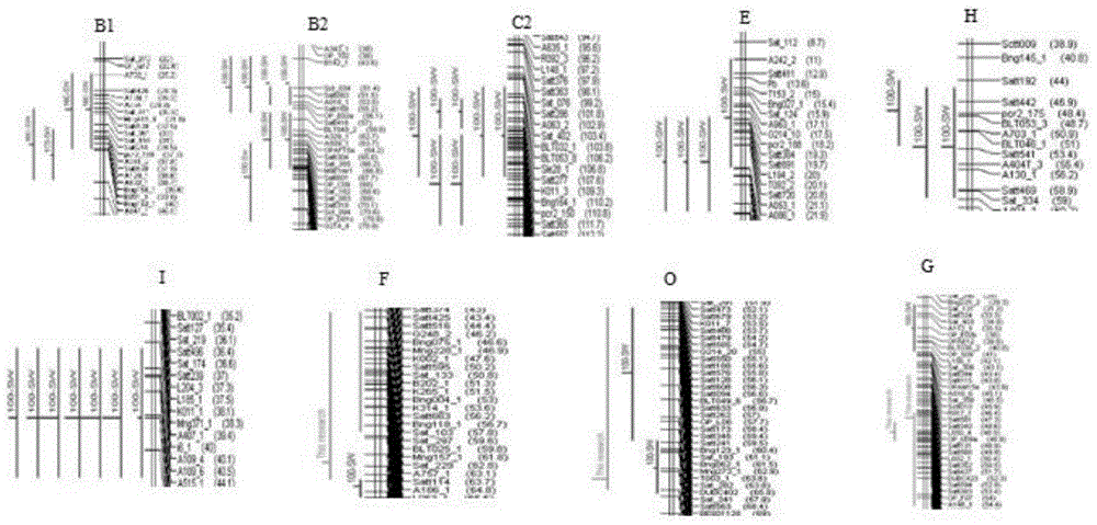 Marker site Satt557 related to soybean hundred-grain weight hereditary characteristic and application thereof