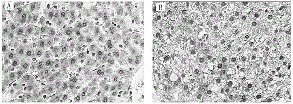 Uses of Peach Blossom and Its Extracts