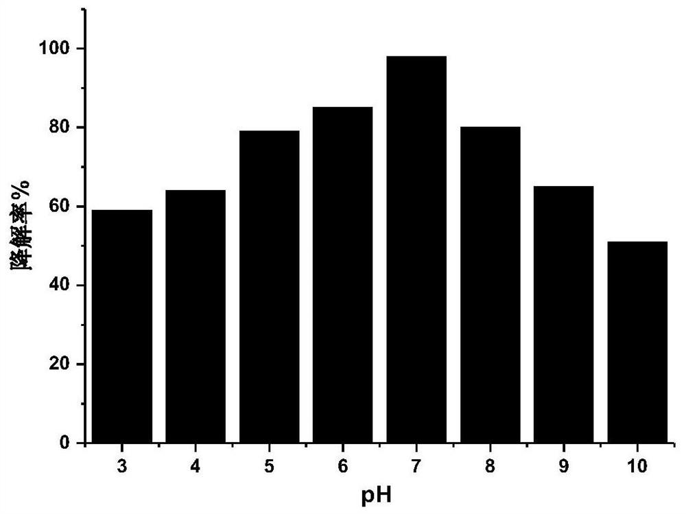 Carrier material, bio-adsorbent prepared from carrier material as well as preparation method and application of bio-adsorbent