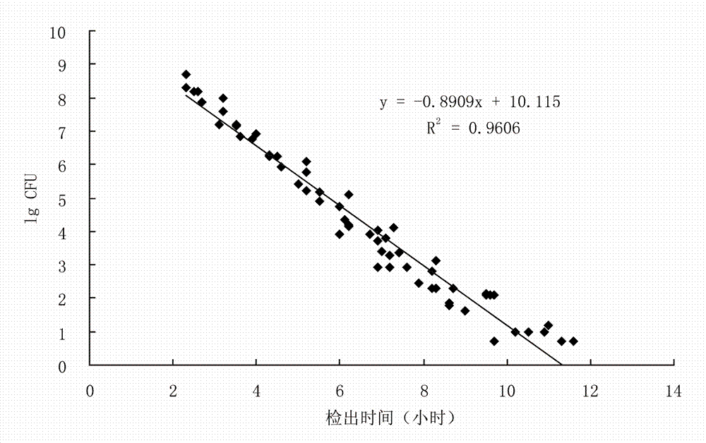 Preparation method of standard sample for establishing quantitative curve of coliform bacteria, establishment method and application of quantitative curve