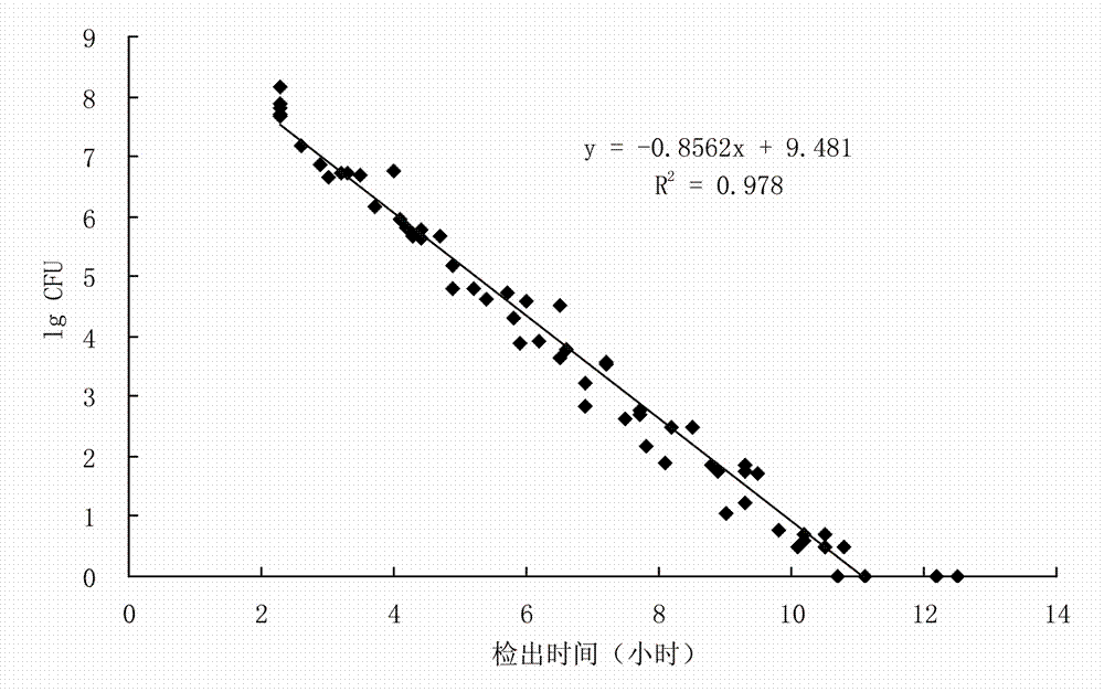 Preparation method of standard sample for establishing quantitative curve of coliform bacteria, establishment method and application of quantitative curve